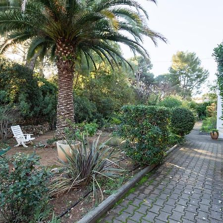 Les Pierreplane Apartman Bandol Kültér fotó